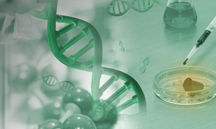 ДИАКОН на конференции СКФО