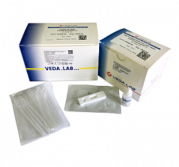 Быстрые тесты для визуального анализа VEDALAB в Ростове-на-Дону